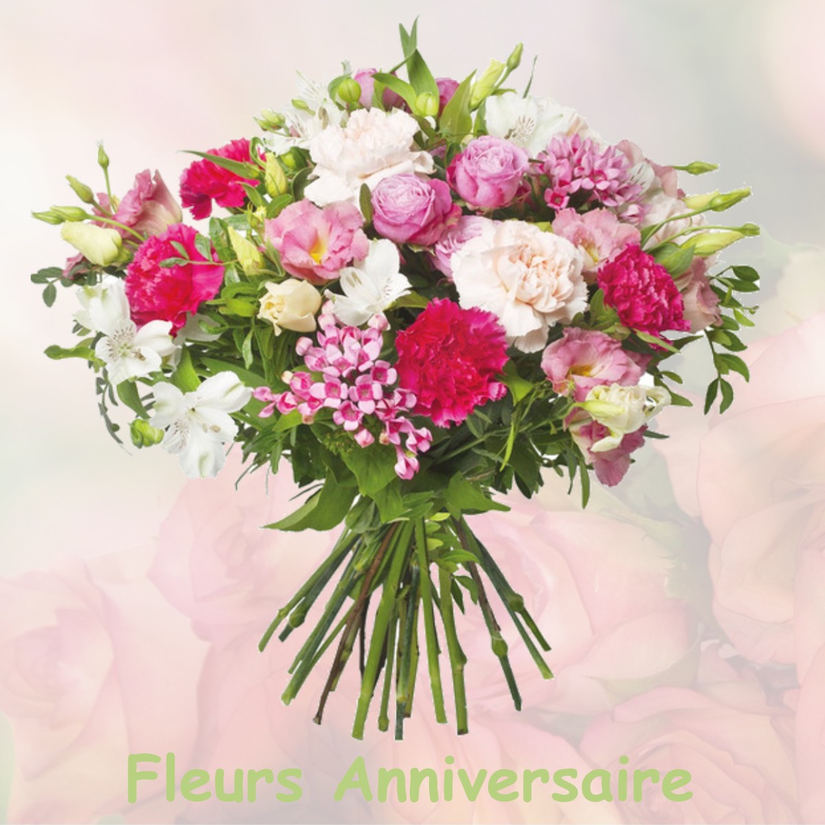 fleurs anniversaire FRANS